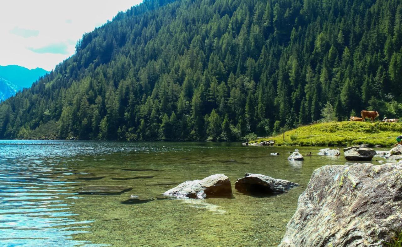 Ferienwohnungen Reinbacher - Primps Schladming Zewnętrze zdjęcie