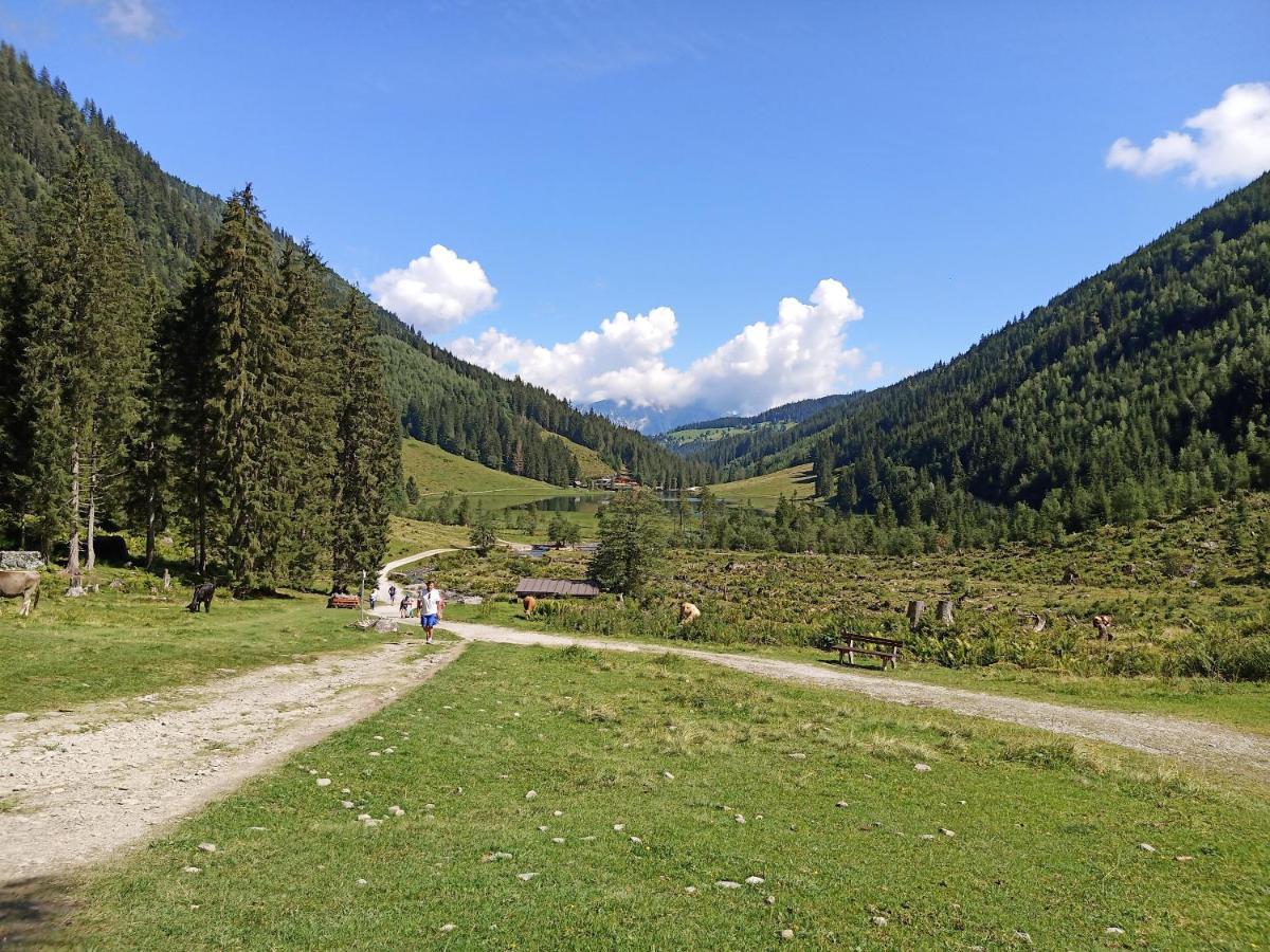 Ferienwohnungen Reinbacher - Primps Schladming Zewnętrze zdjęcie