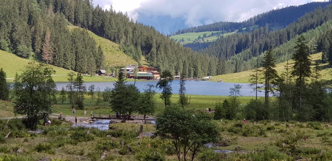 Ferienwohnungen Reinbacher - Primps Schladming Zewnętrze zdjęcie