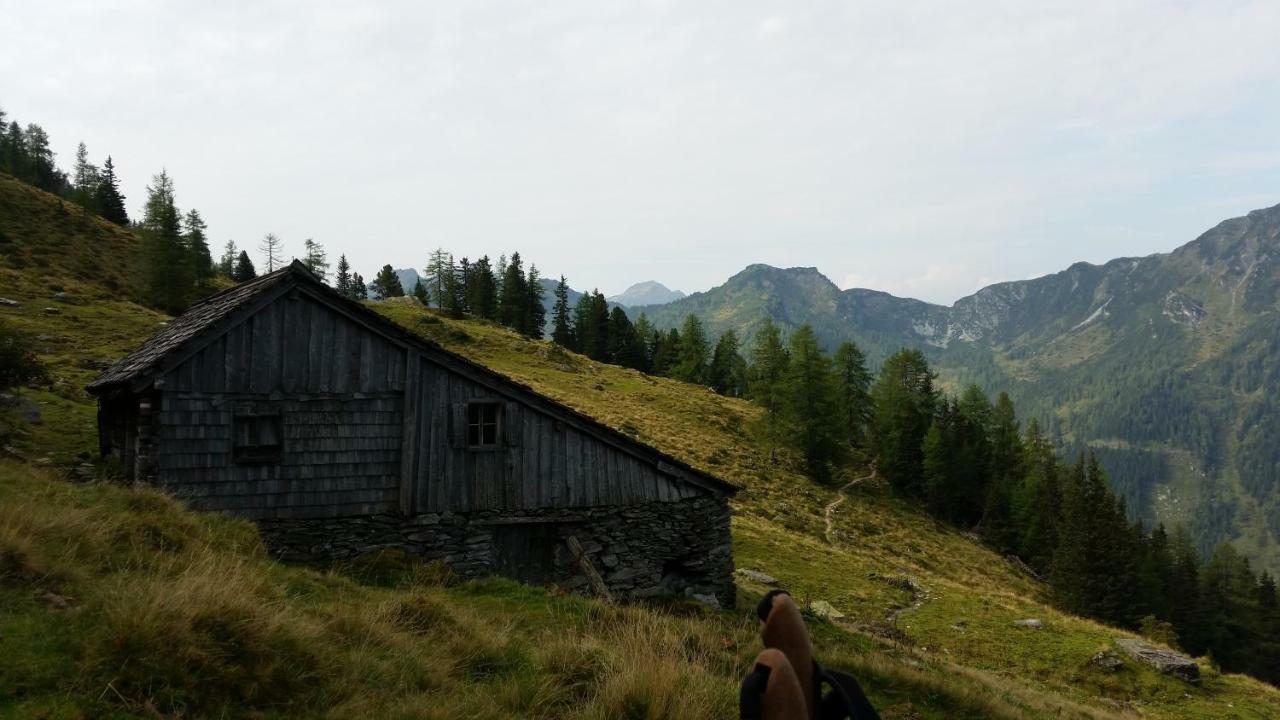 Ferienwohnungen Reinbacher - Primps Schladming Zewnętrze zdjęcie