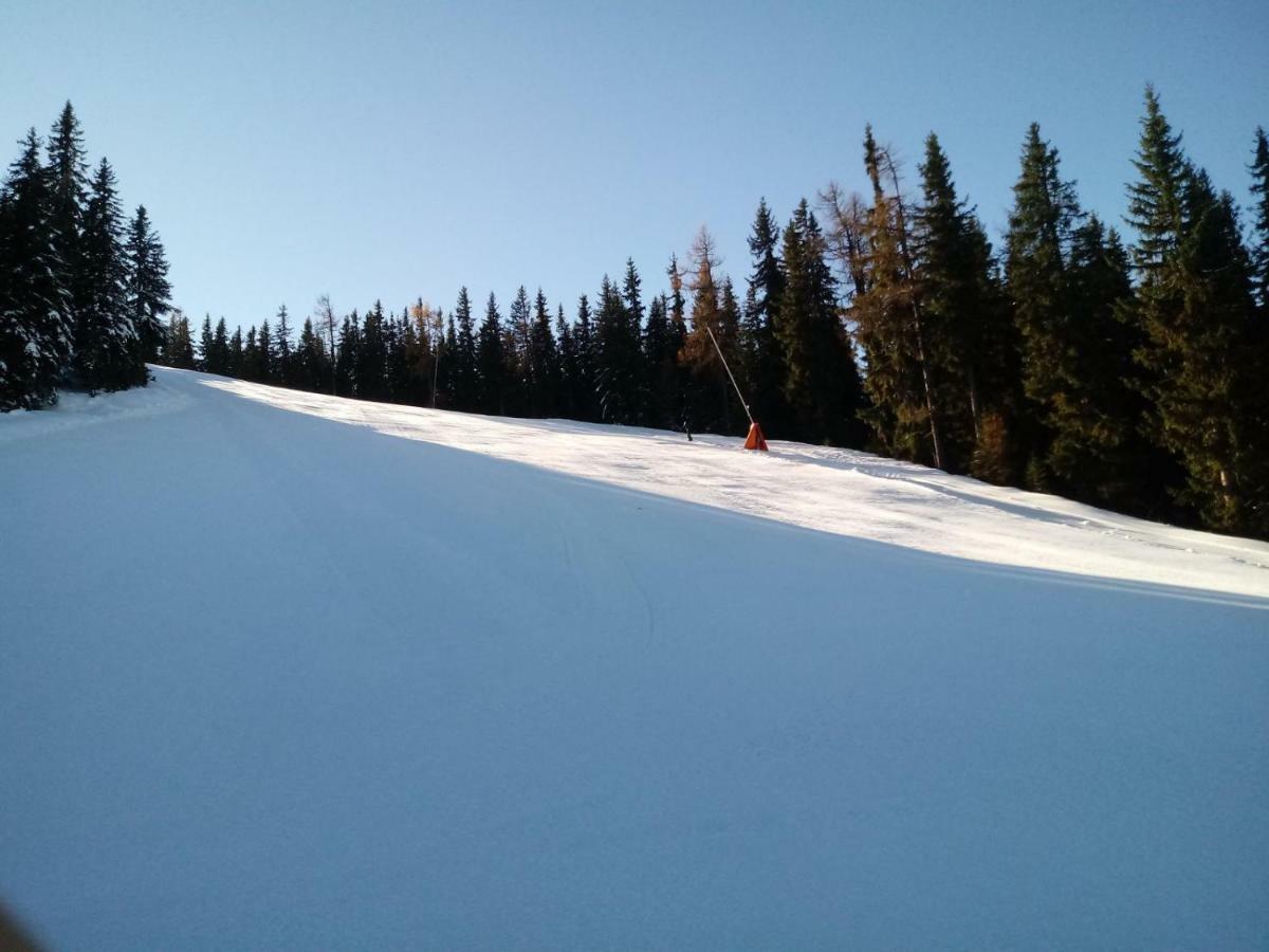 Ferienwohnungen Reinbacher - Primps Schladming Zewnętrze zdjęcie